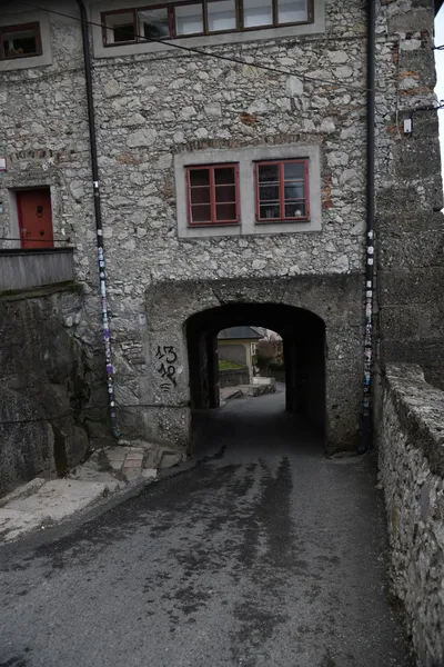 DSC_7009 (Large).JPG